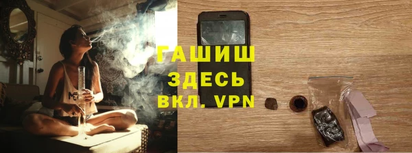 стаф Гусев