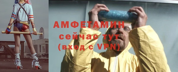 мет Дмитриев