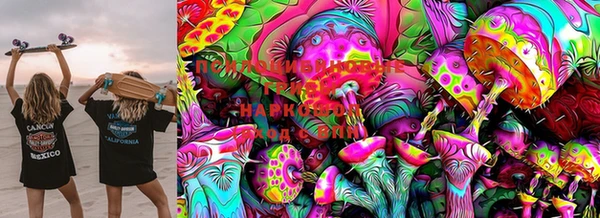винт Гусь-Хрустальный