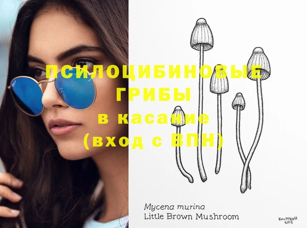 дурь Дмитров